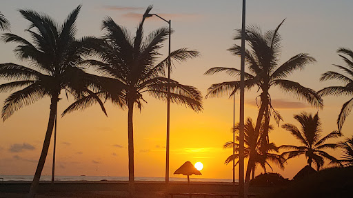 La jarochita raspados餐厅图片