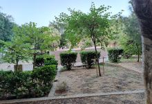 Sir Paul Boffa Gardens景点图片