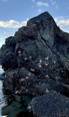 Fogarty Creek Beach-林肯县