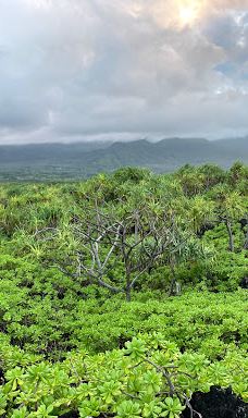 Ke Ala Loa O Maui / Piilani Trail-哈纳
