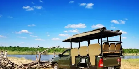 Balanta Imagine Safaris