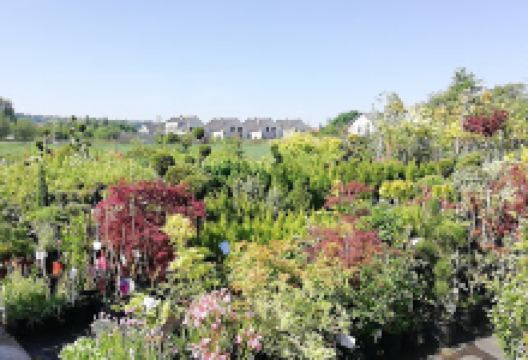 Centrum Ogrodnicze Mój Ogród购物图片