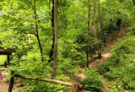 Izletište Popovica景点图片