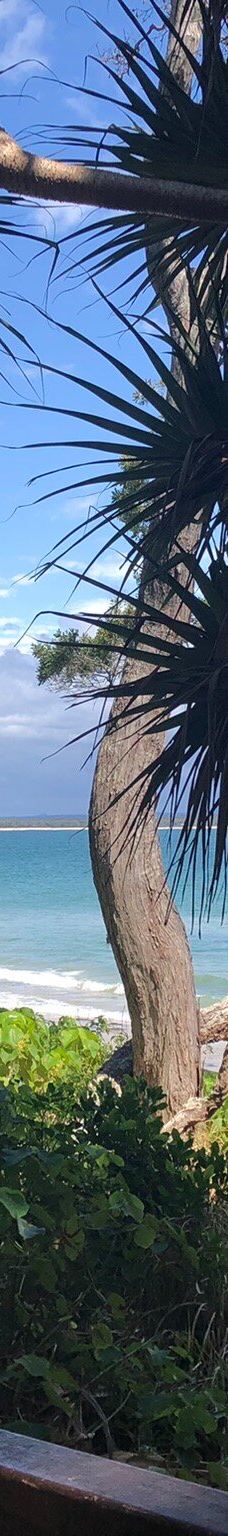 努沙国家公园-努萨角