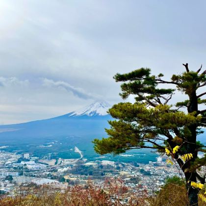 日本东京+富士山+箱根6日5晚拼小团