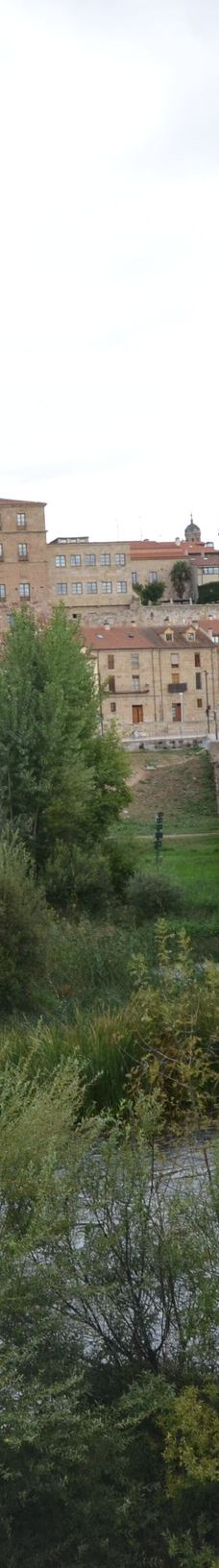 罗马古桥-萨拉曼卡