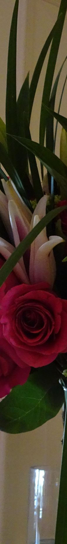 Salt Creek Beach-达纳点