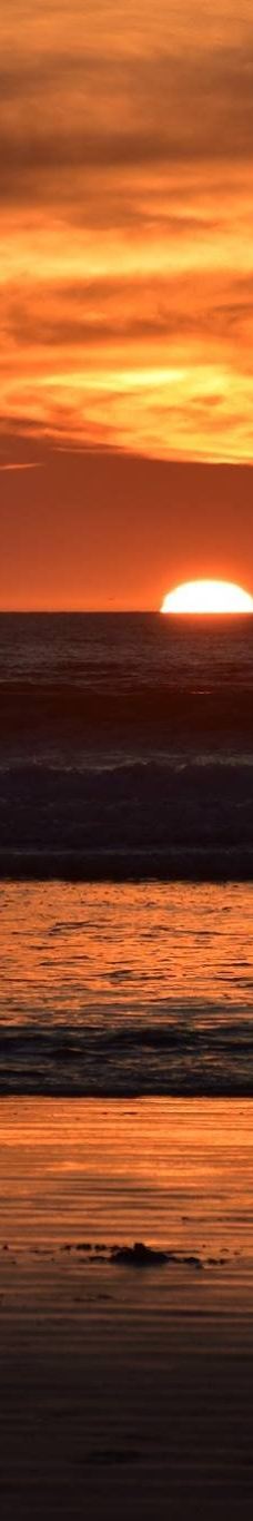 皮斯莫海滩-圣路易斯－奥比斯波县