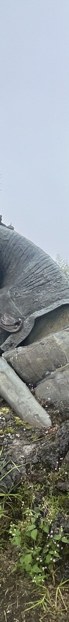 Monumento a los Colonizadores-马尼萨莱斯