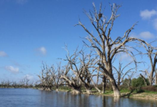 The Darling River Run景点图片