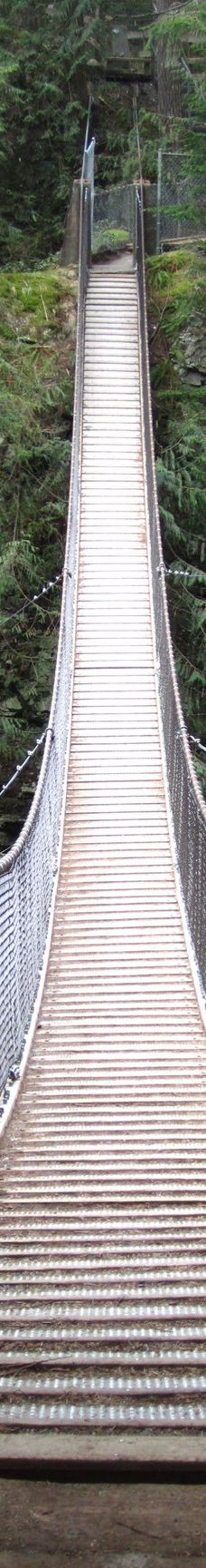 林恩峡谷公园-北温哥华