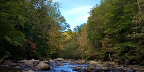 Ken Lockwood Gorge Wildlife Management Area