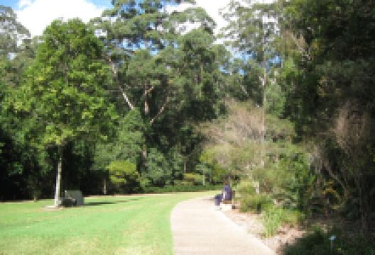 Maroochy Regional Bushland Botanic Garden景点图片