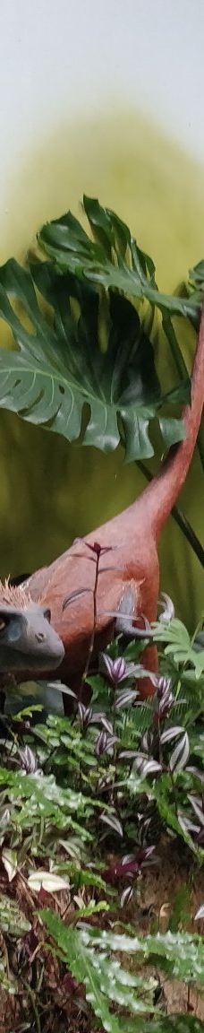 Naturbornholm-阿克尔科拜