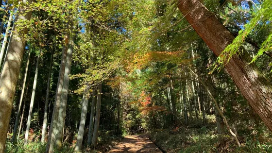曾木公園
