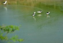 Topansar Lake景点图片