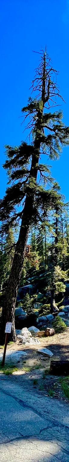 Mt. Tallac Trail-埃尔多拉多县