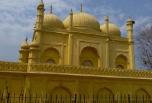 Yellow Mosque景点图片