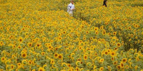 青葉湖展望交流施設