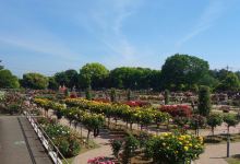 Kadokura Techno Rose Garden, Shikishima Park景点图片