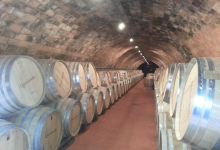 Querciabella景点图片