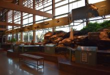 The Witt Stephens Jr. Central Arkansas Nature Center景点图片