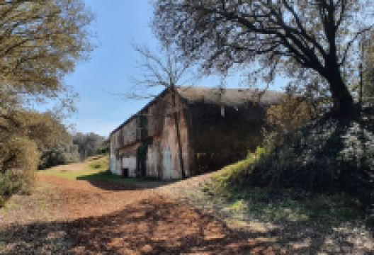 Sentier D'interpretation du Pointeau景点图片