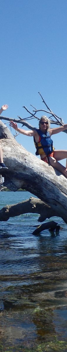 Domaine de la Palissade-阿尔勒