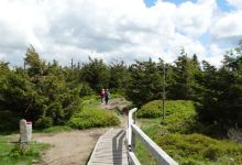 Tall Stone Peak & Lookout Point景点图片