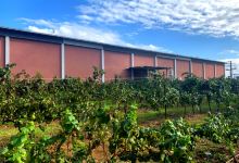 Vitkin Winery景点图片