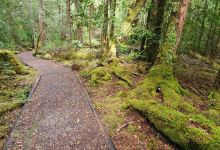 Franklin-Gordon Wild Rivers National Park景点图片