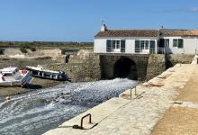 Moulin a Marée景点图片
