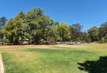 Peacehaven Botanic Park景点图片
