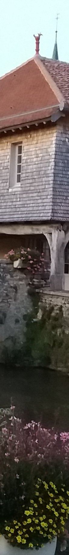 Pont Henry IV-沙泰勒罗