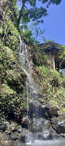 Upper Waikani Falls-茂宜县