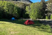 Mistletoe Flat Campsite景点图片