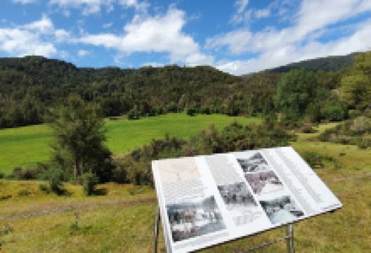 Kirwans Track景点图片