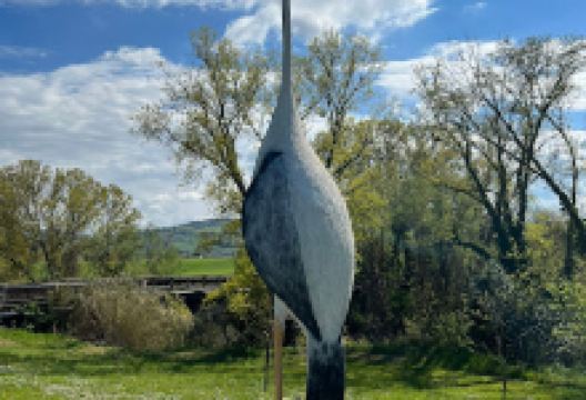 "Airone Cenerino" di Gianni Calcagnini景点图片