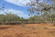 Pla de l'arc景点图片