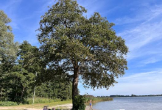 Surfstrand de Boschberg景点图片