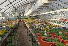 Spring Garden Farms Inc.购物图片
