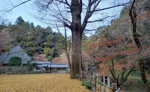 今岡美術館