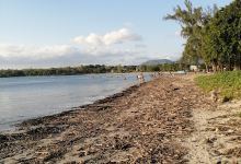 Ticou, Ticou-Big Game fishing, Dolphin swimming, Snorkeling景点图片