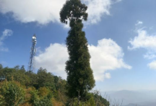 Imkongmeren Memorial Site景点图片