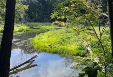 Hawthorn Pond Natural Area景点图片