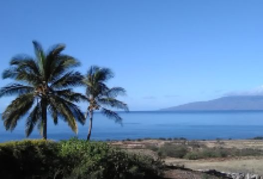 The Fractal Farm And Eric R. Doolin Gallery景点图片