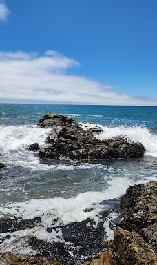 Shamel Park-坎布里亚