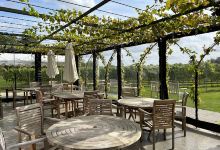 Dunesforde Vineyard景点图片