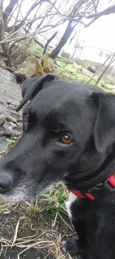 Colver Road Park-菲尼克斯