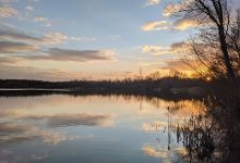 Thorney Country Park景点图片